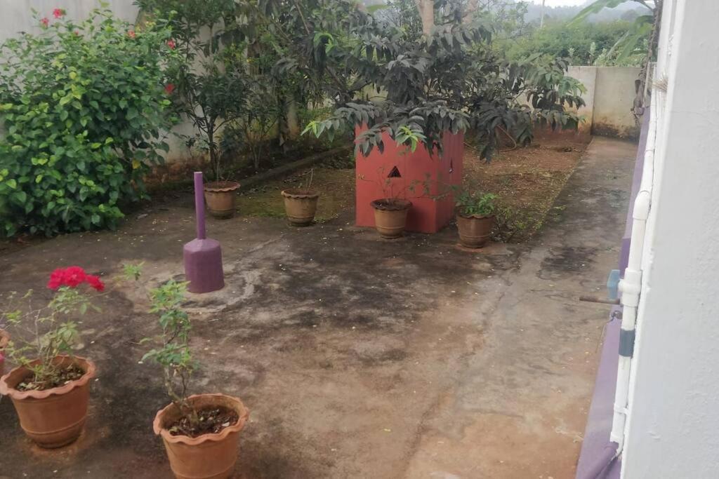 Yelagiri Ram Cottage @Home With Kitchenette Full Exterior photo