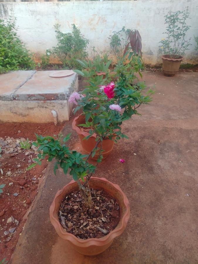Yelagiri Ram Cottage @Home With Kitchenette Full Exterior photo